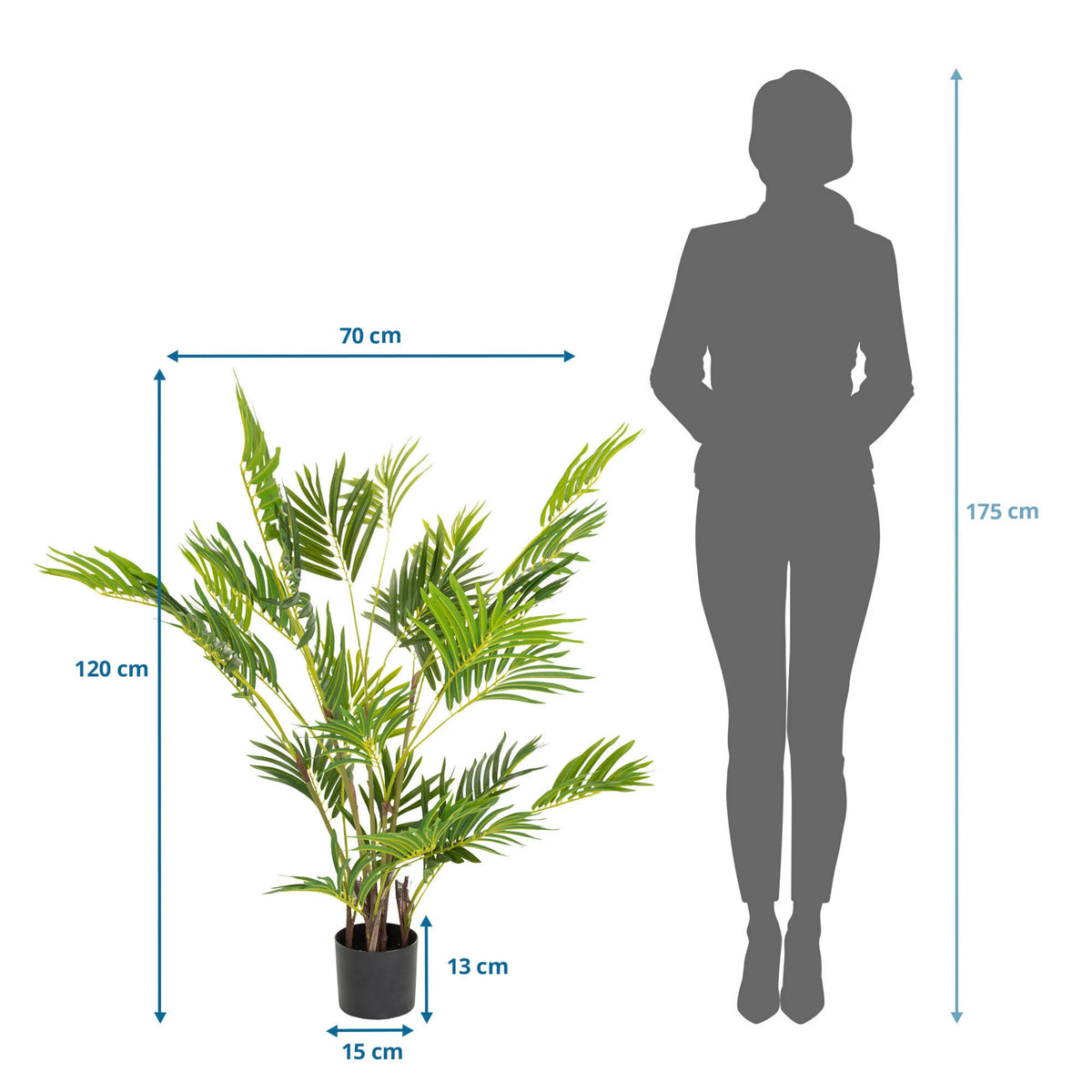 Måltegning af den Kunstige plante ARECA I med en højde på 120 cm og bredde på 70 cm fra hjh OFFICE