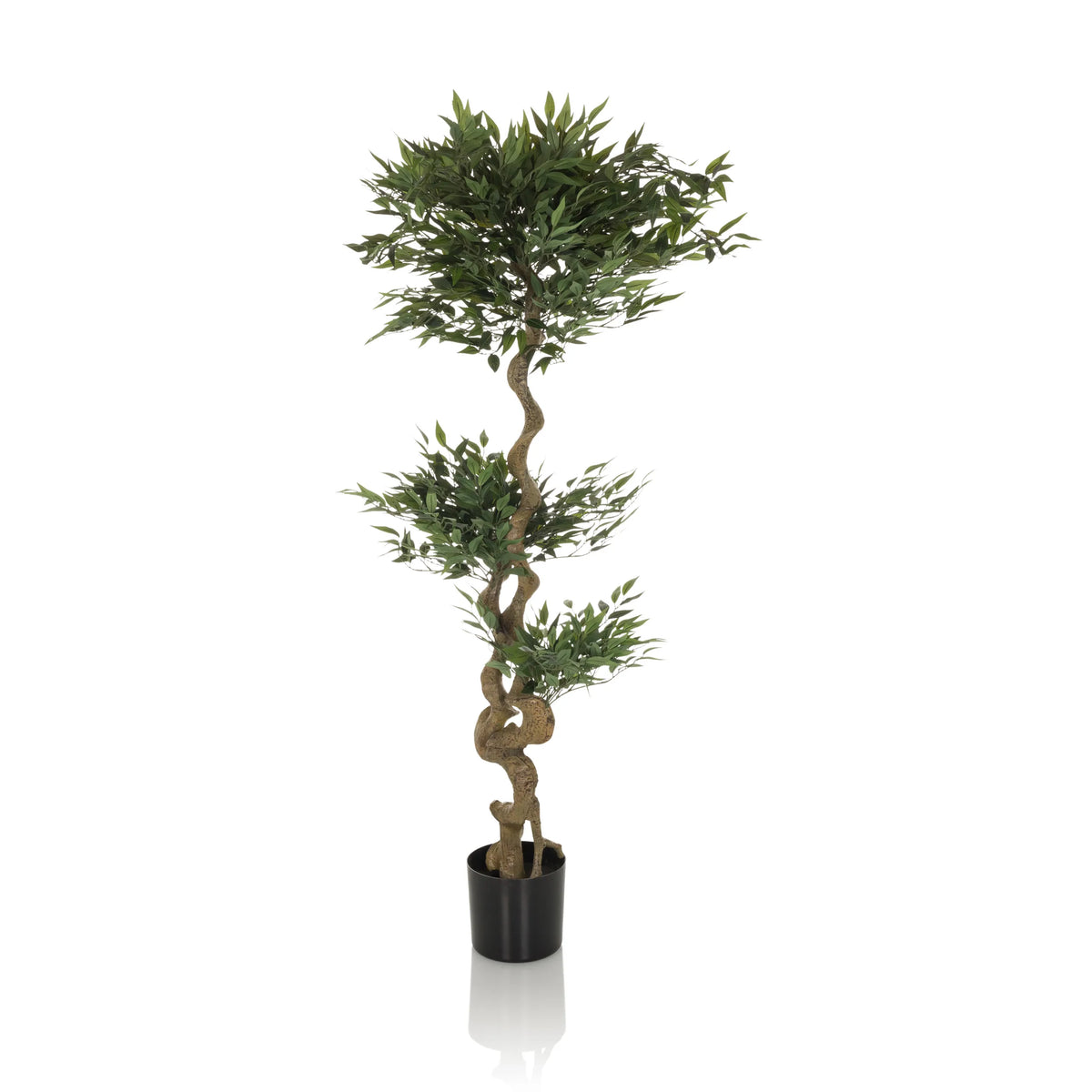 Grøn Kunstige plante ACACIA med snoet stamme i sort potte fra hjh OFFICE – 360-graders visning (sideprofil 90°)