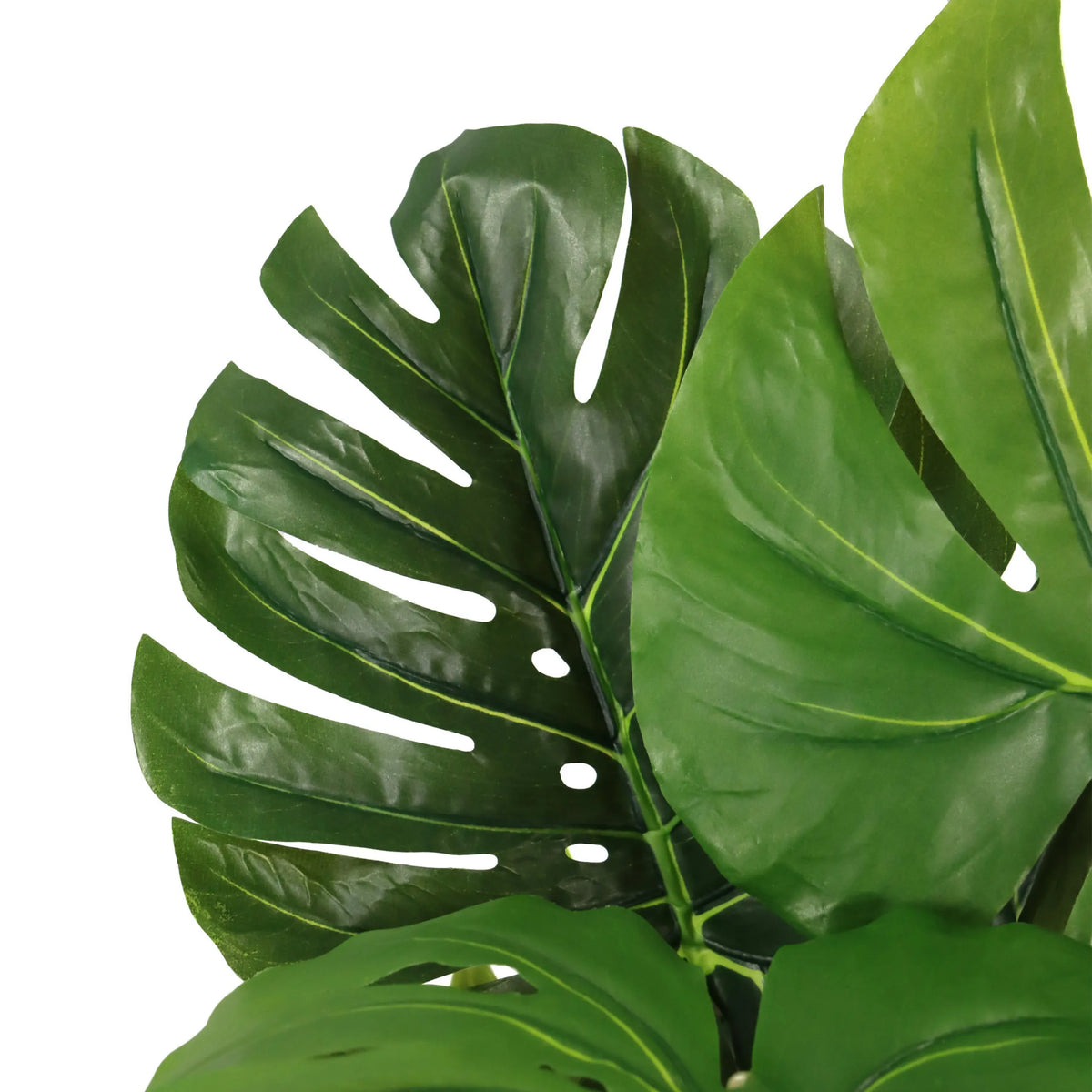 Grønne blade fra den Kunstige plante MONSTERA I fra hjh OFFICE