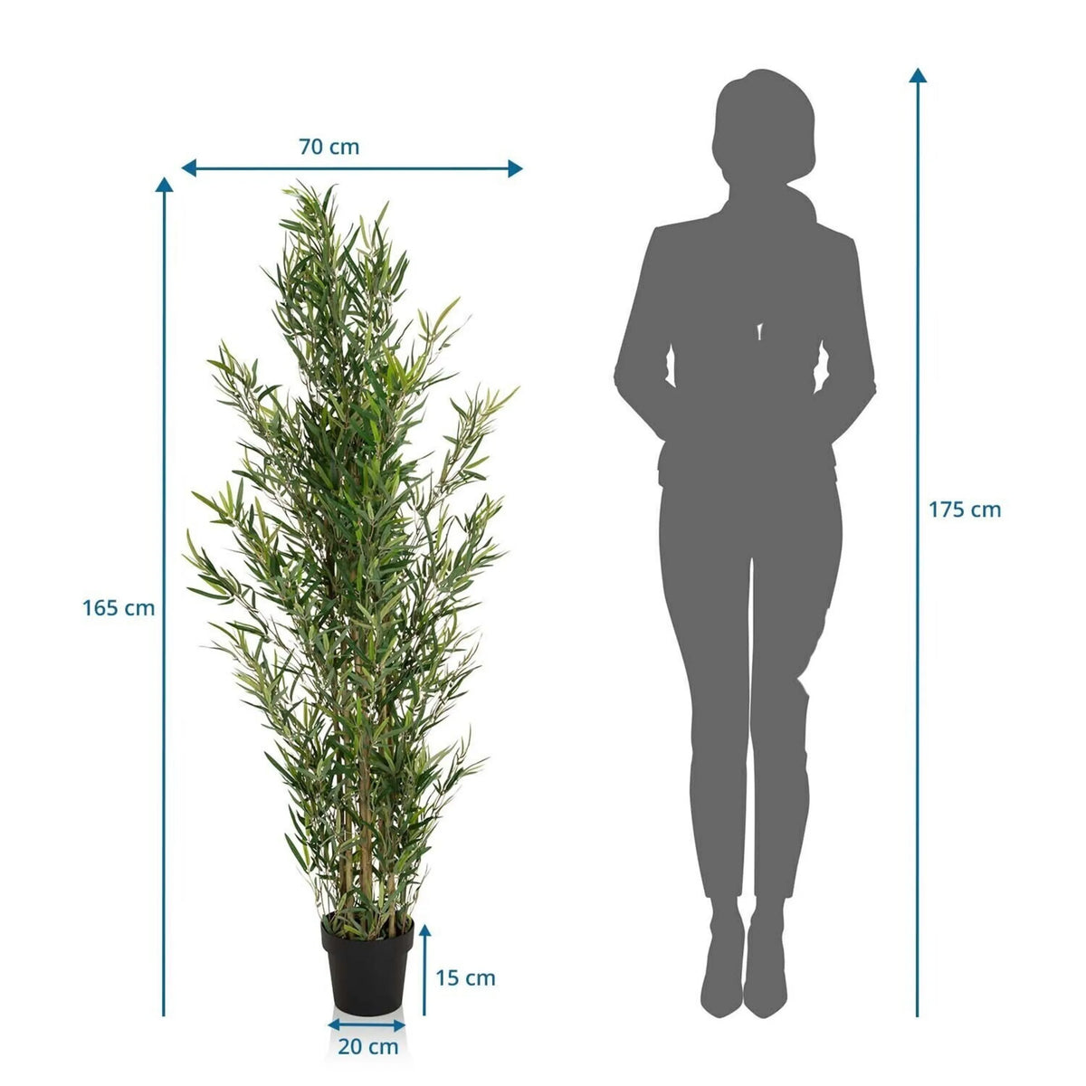 Måltegning af den Kunstige plante BAMBUS med en højde på 165 cm og en bredde på 70 cm fra hjh OFFICE