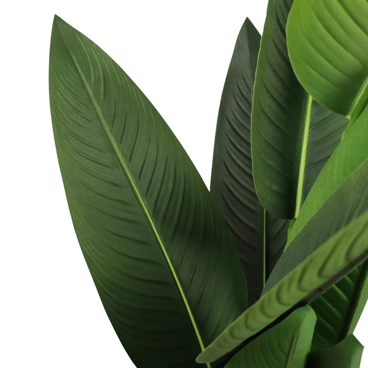 Grønne blade fra den Kunstige plante STRELITZIA fra hjh OFFICE