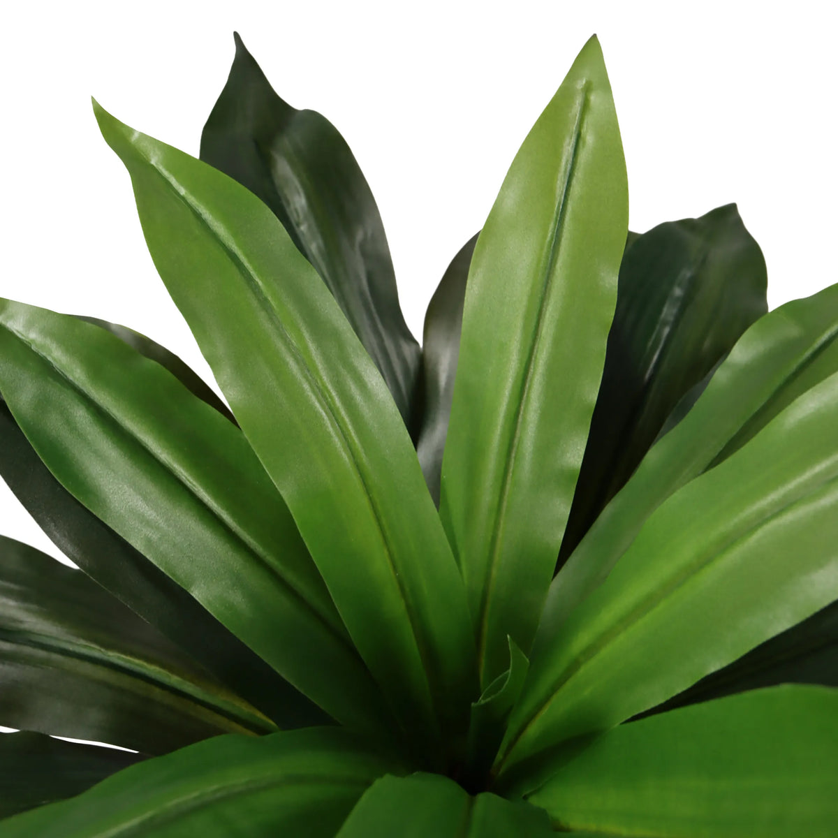 Grønne blade fra den Kunstige plante DRACAENA I fra hjh OFFICE