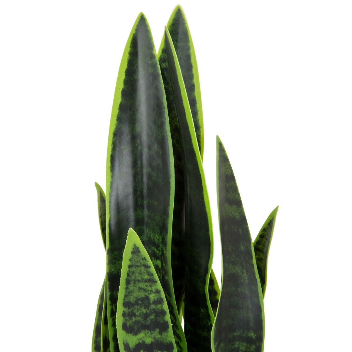 Grønne blade fra den kunstige plante SANSEVIERIA med mørkegrønne mønstre fra hjh OFFICE