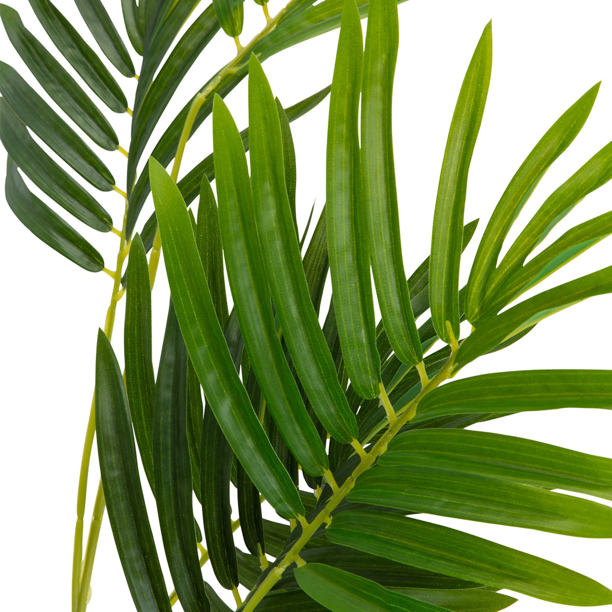 Grønne blade fra den kunstige plante ARECA I fra hjh OFFICE