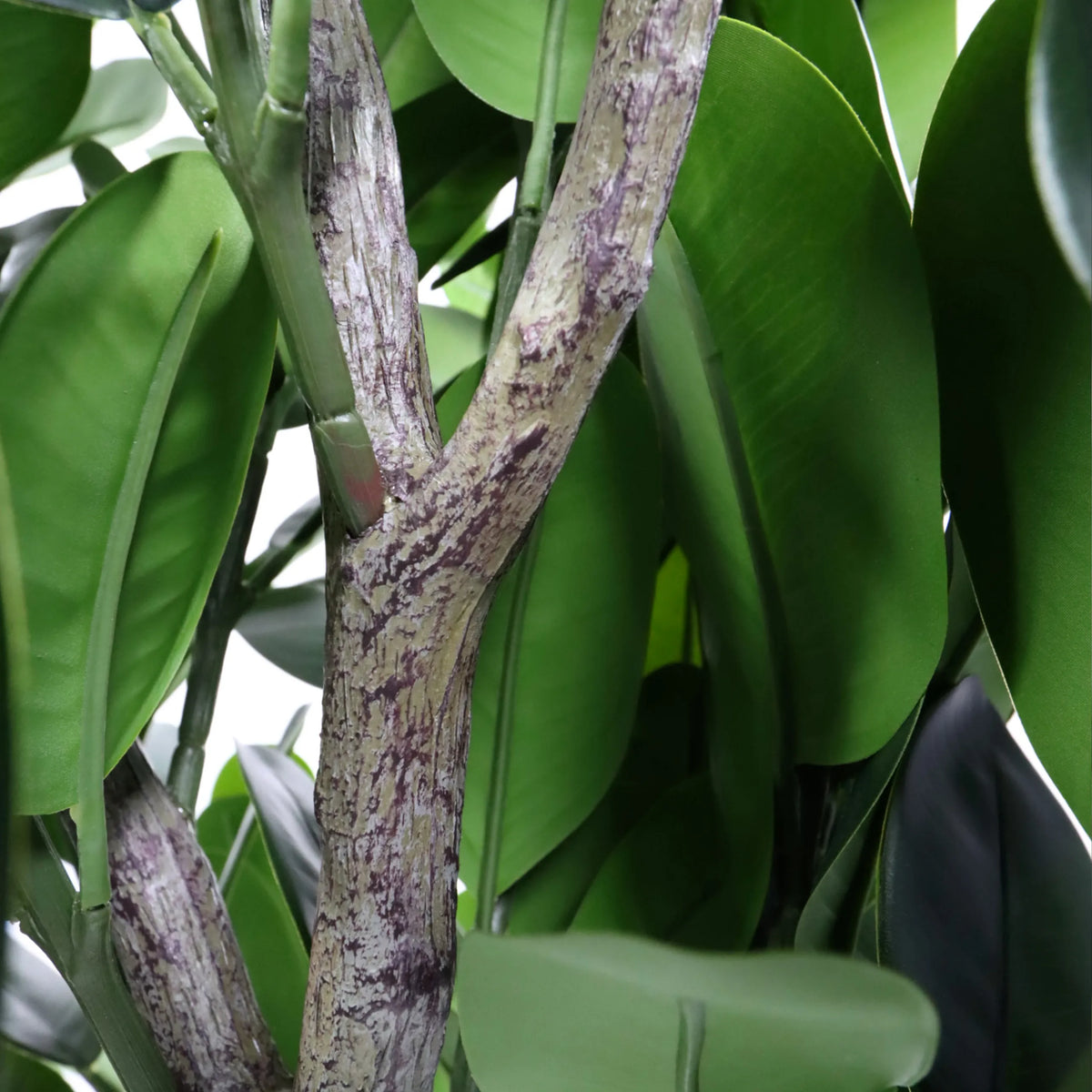 Stamme og grønne blade på den Kunstige plante Garcinia fra hjh OFFICE