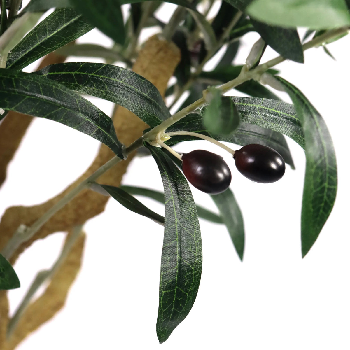 To mørke oliven på en gren med grønne blade fra den kunstige plante OLIVE II fra hjh OFFICE