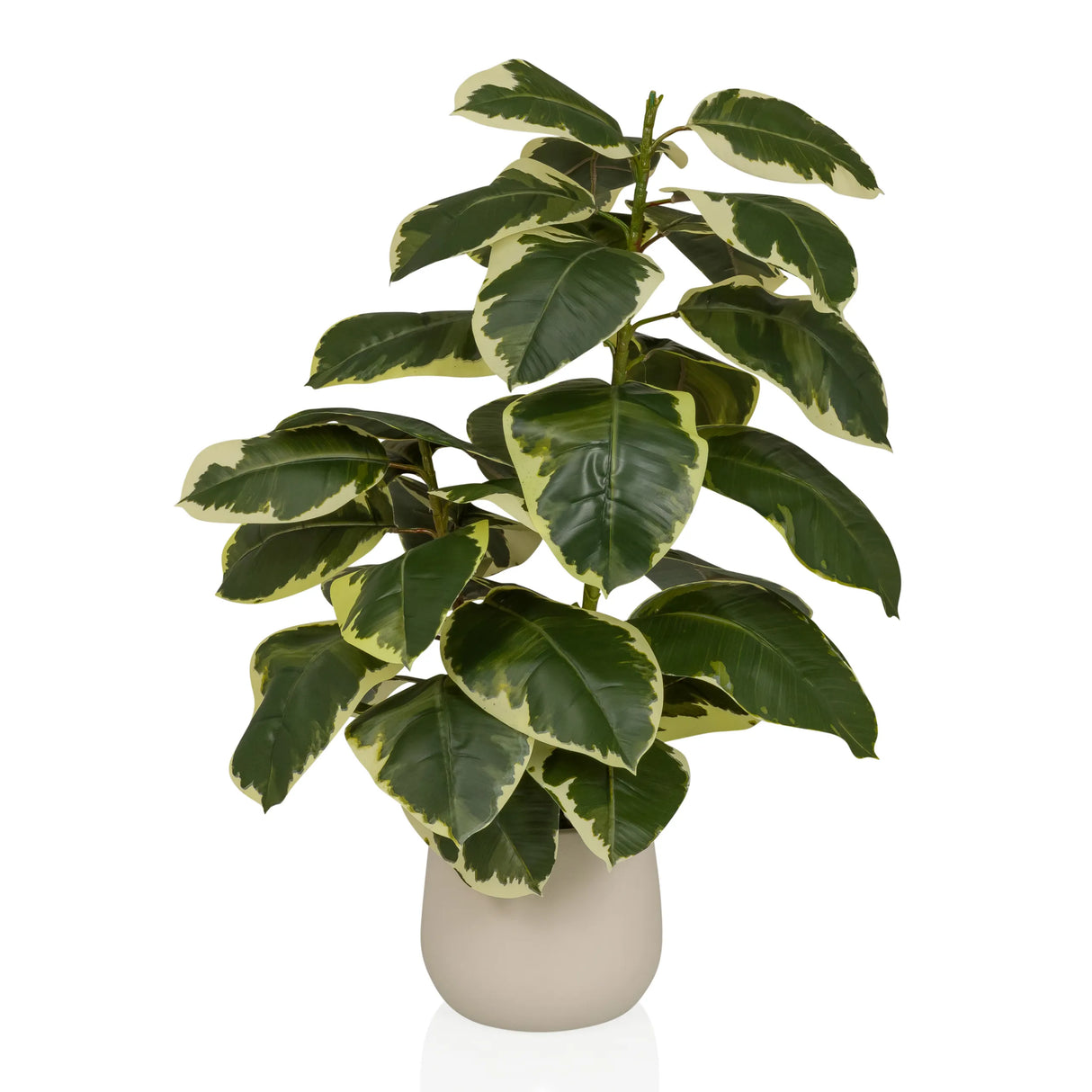 Ficus 3 - Kunstige plante