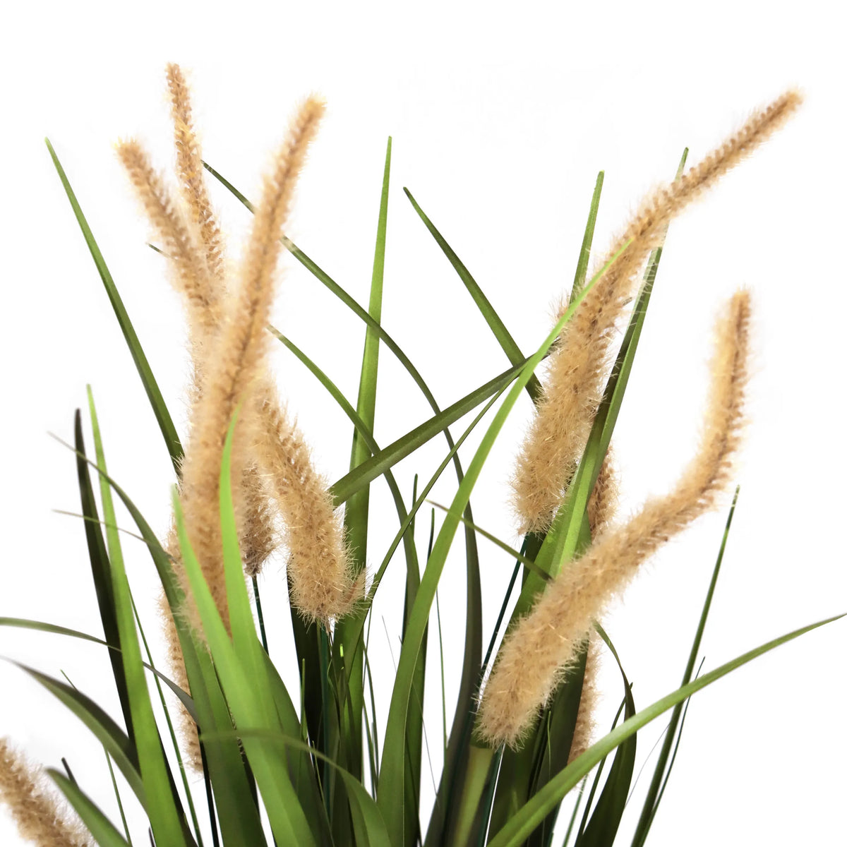 Beige-grønne græsser fra den kunstige plante CORTADERIA I med dunede blomsterstande fra hjh OFFICE