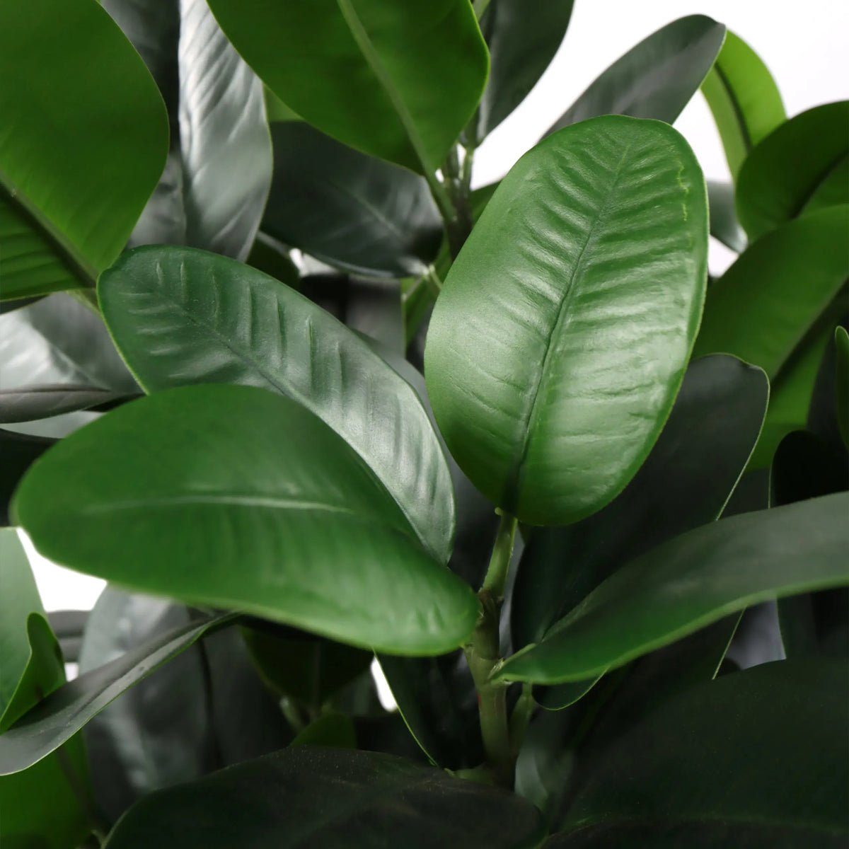 Grønne blade fra den kunstige plante Garcinia fra hjh OFFICE