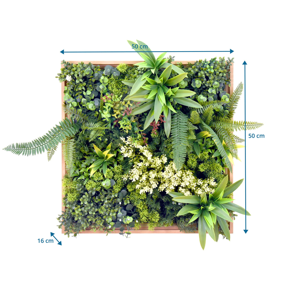 Måltegning af Plantemåtte LEAFLUXE WALL 1 med 50 × 50 cm og 16 cm dybde fra hjh LIVING