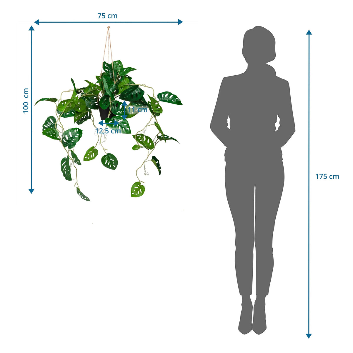 Måltegning af den kunstige plante MONSTERA CLIMB med en samlet højde på 100 cm fra hjh OFFICE