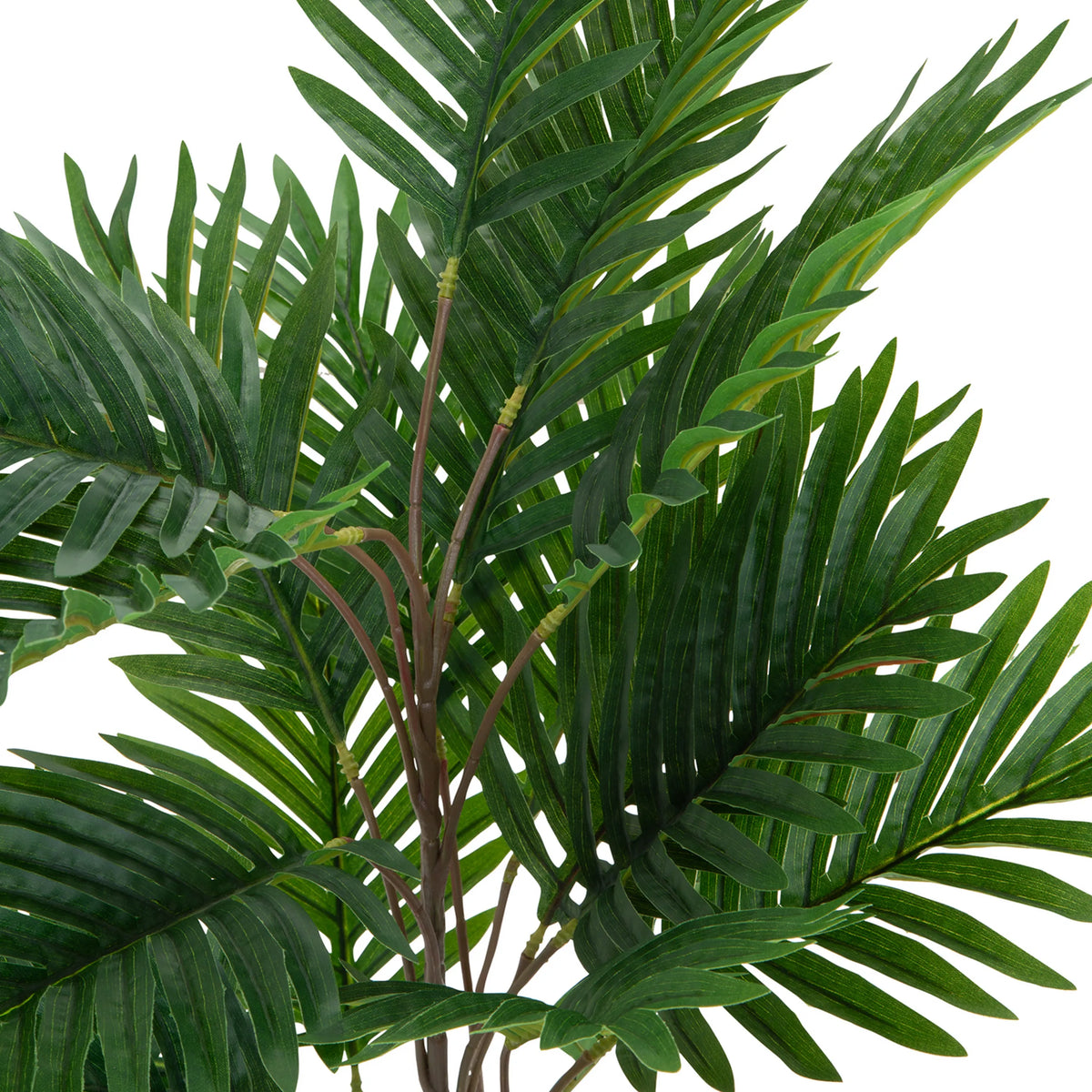 Grønne blade fra den kunstige plante ARECA fra hjh OFFICE