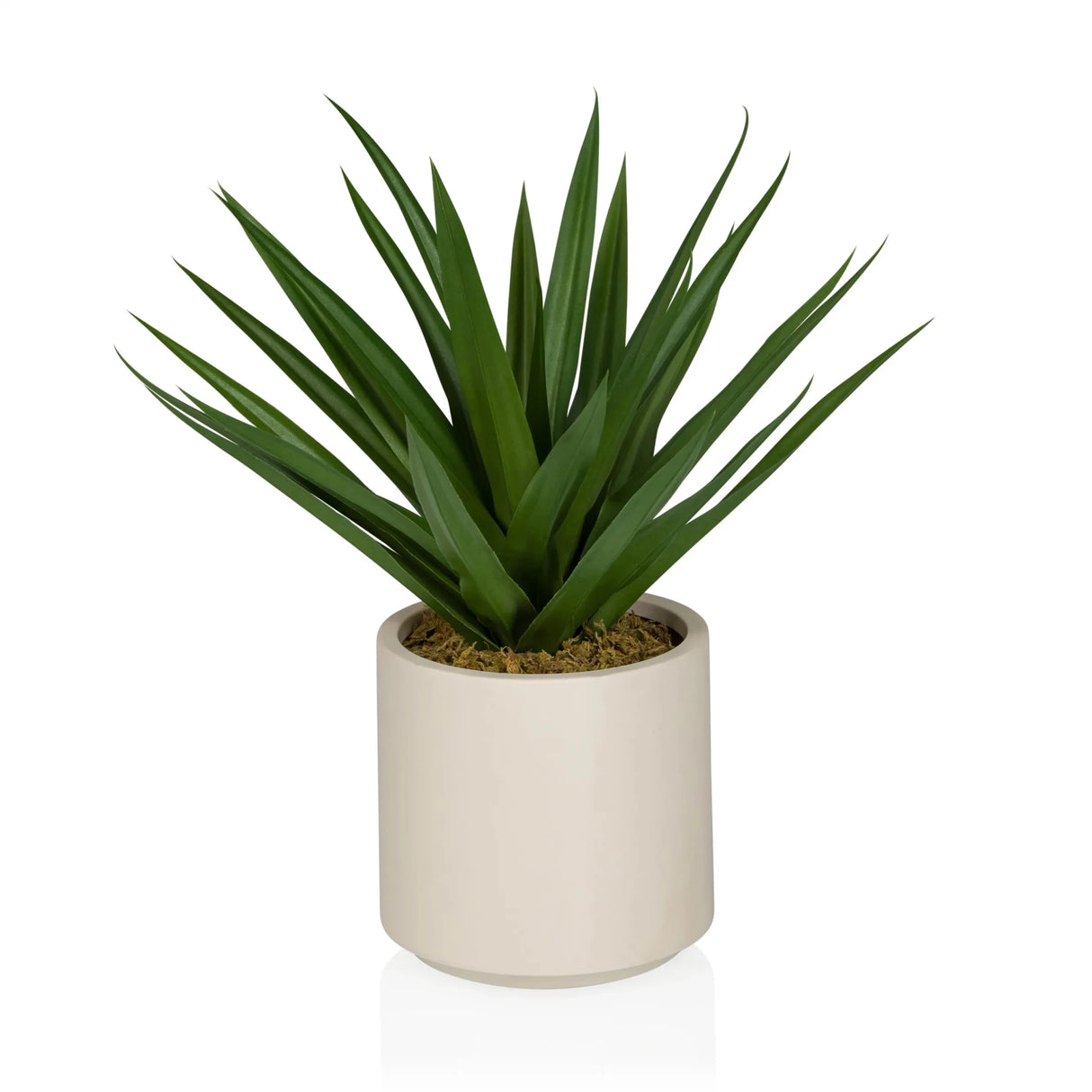 Agave - Kunstige plante