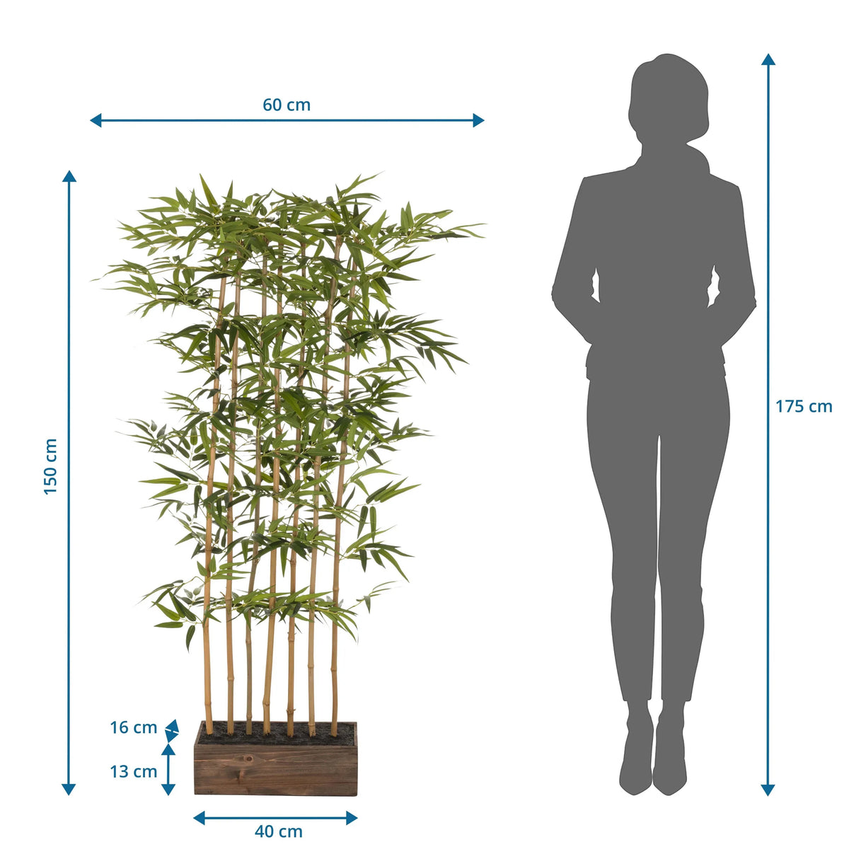 Måltegning af den Kunstige plante BAMBUS I med en højde på 150 cm og en bredde på 60 cm fra hjh OFFICE