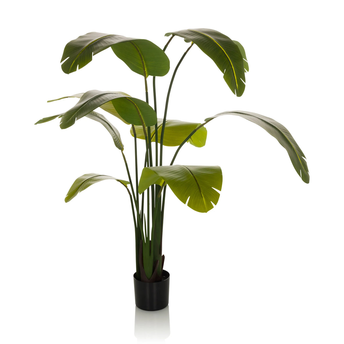 Grøn Kunstige plante BANANE med store blade i en sort potte fra hjh OFFICE – 360-graders visning (forfra 0°)