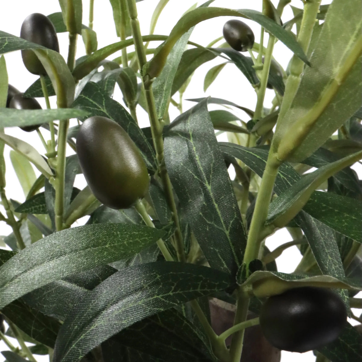 Grønne blade og mørke oliven fra den Kunstige plante Olive S fra hjh OFFICE