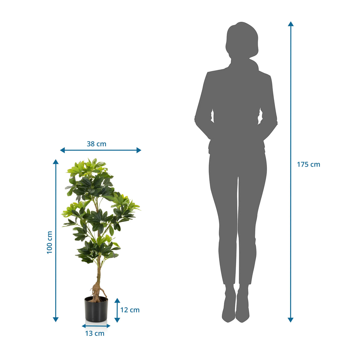 Målvisning af den Kunstige plante SCHEFFLERA med en højde på 100 cm og bredde på 38 cm fra hjh OFFICE