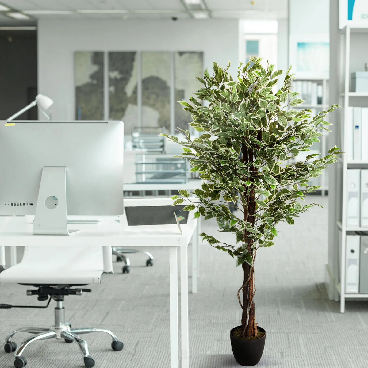 Grøn kunstig plante FICUS i en sort potte ved siden af et skrivebord fra hjh OFFICE