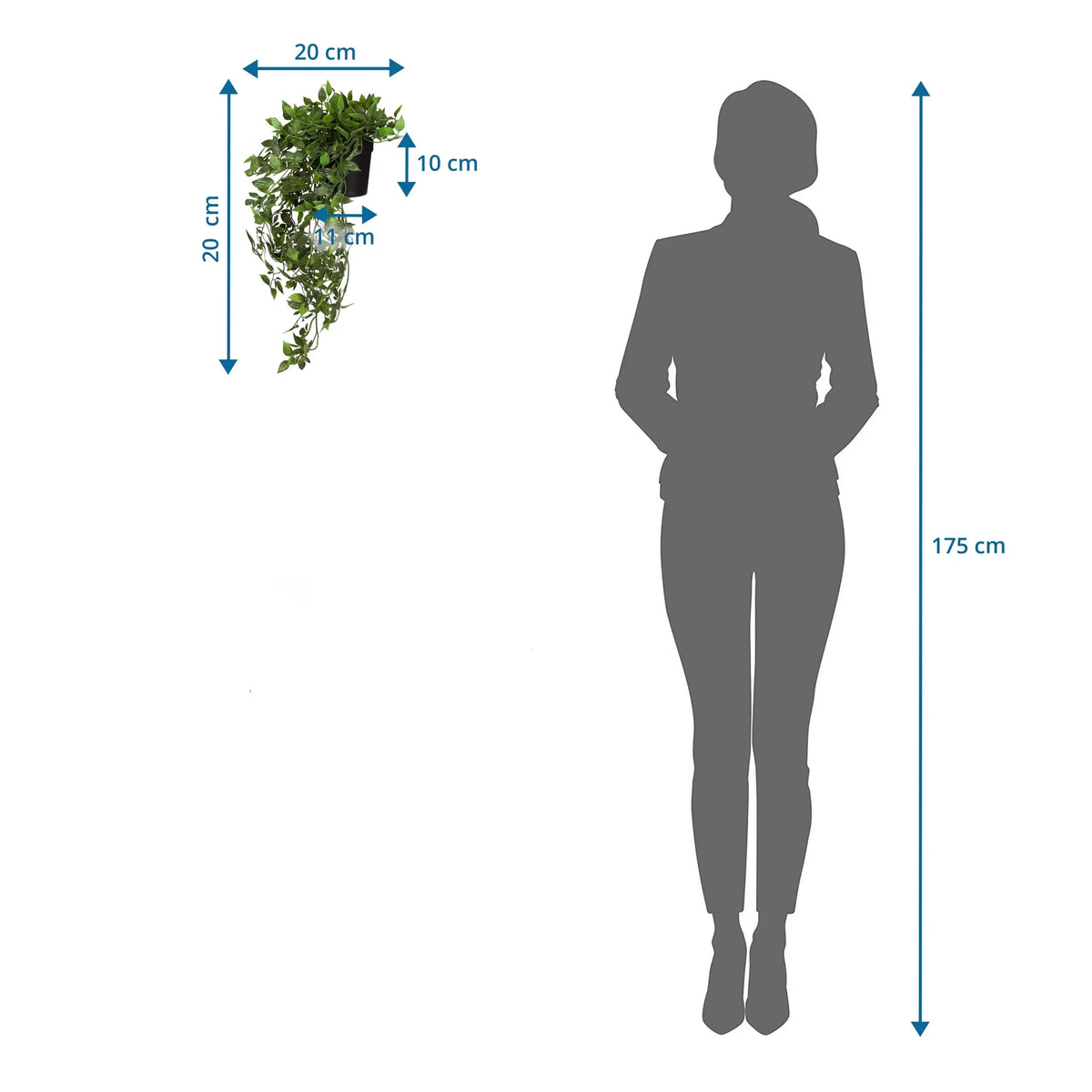 Måltegning af den Kunstige plante Epipremnum Climb med en højde på 20 cm i sammenligning med en person fra hjh OFFICE