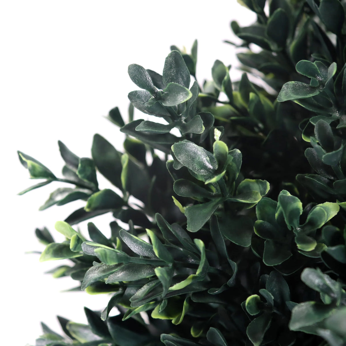 Grønne blade fra den Kunstige plante BUXUS fra hjh OFFICE