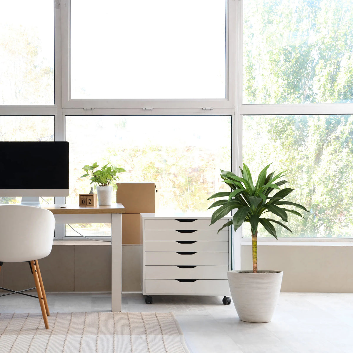 Kunstig plante DRACAENA I i grøn med en hvid overpotte i et lyst rum fra hjh OFFICE