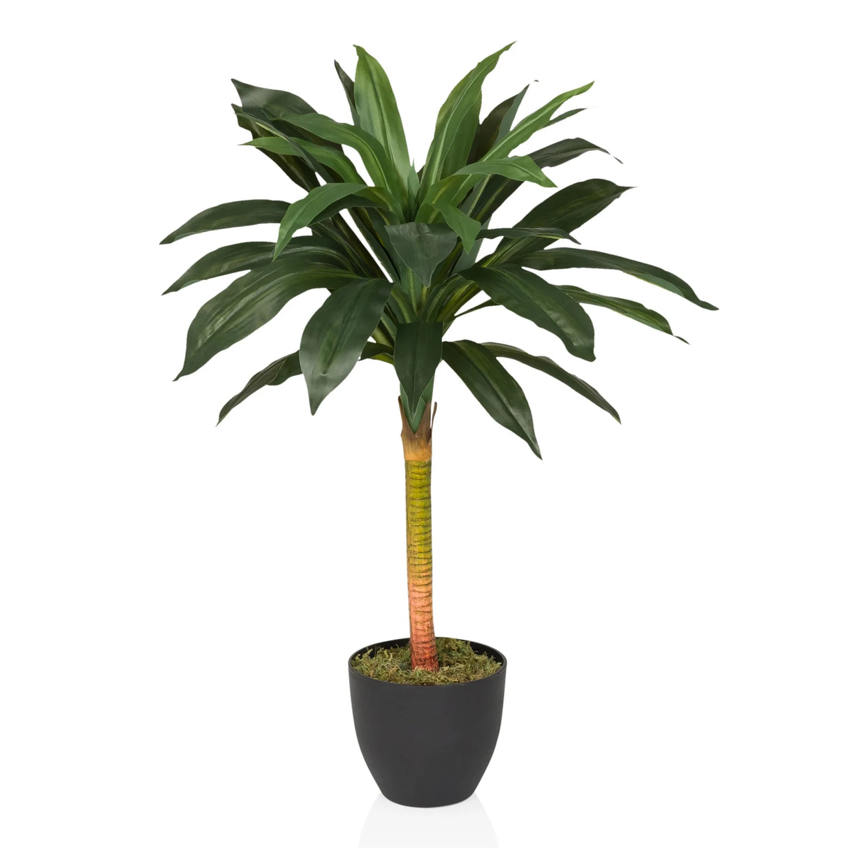 DRACAENA I - Kunstige plante