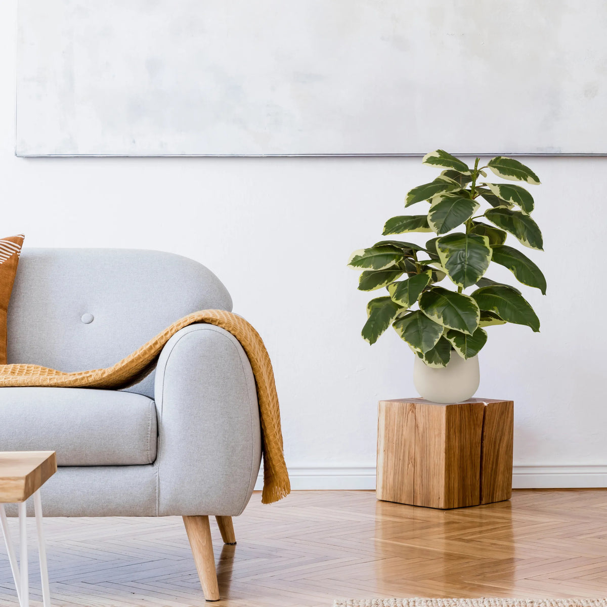 Kunstig plante Ficus 3 i grøn og hvid i en hvid potte på en træfod fra hjh OFFICE