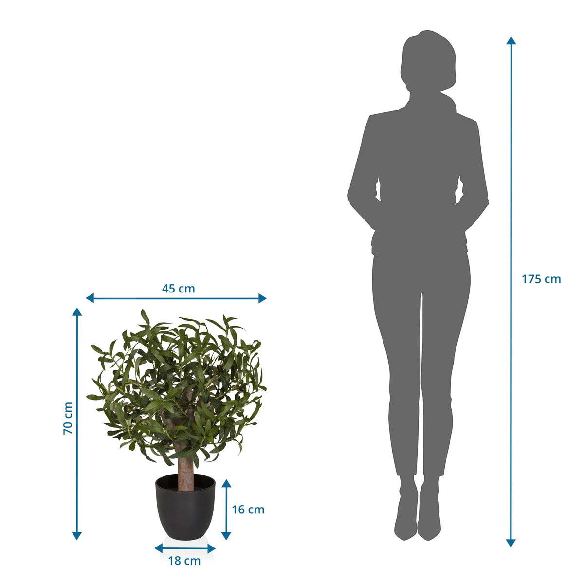 Målvisning af den Kunstige plante Olive S med en højde på 70 cm og bredde på 45 cm fra hjh OFFICE