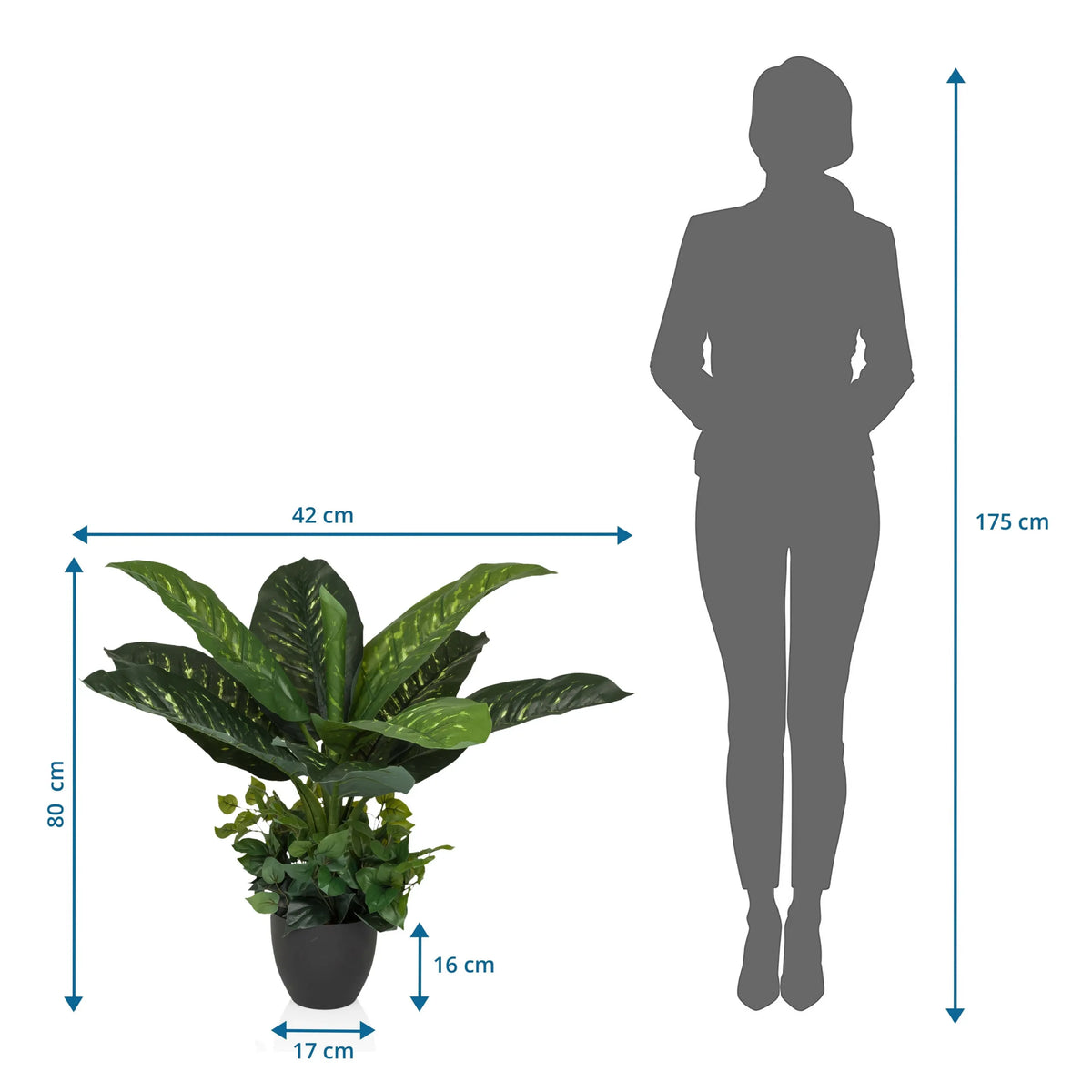 Måltegning af den Kunstige plante DIEFFENBACHIA med en højde på 80 cm og bredde på 42 cm fra hjh OFFICE