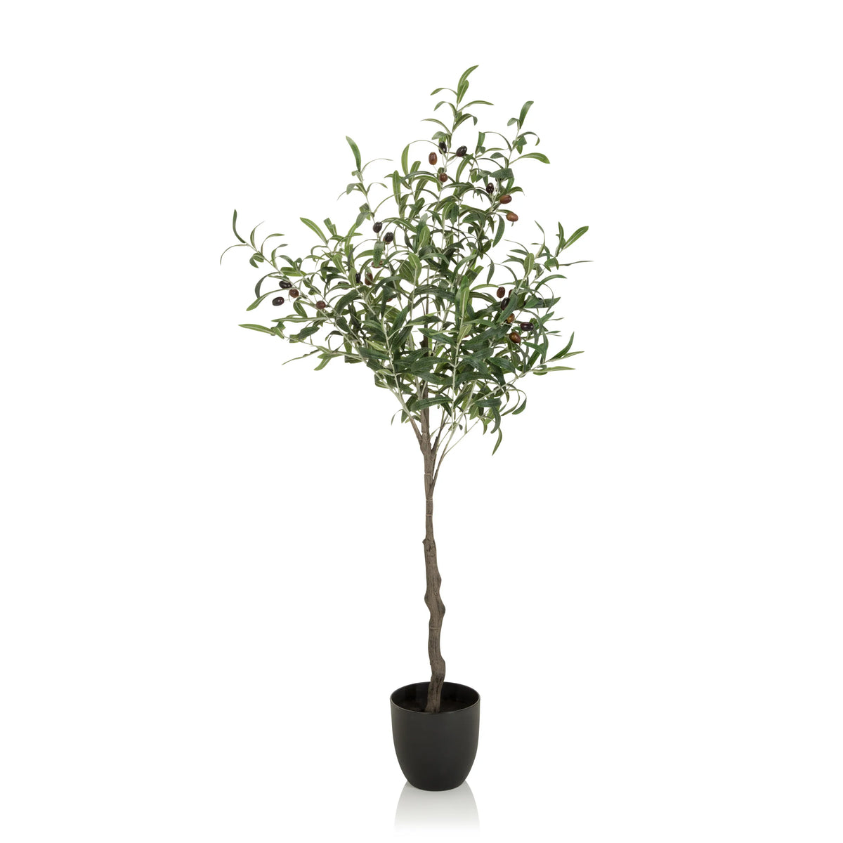 Grøn Kunstige plante OLIVE som oliventræ i en sort urtepotte fra hjh OFFICE – 360-graders visning (sideprofil 90°)