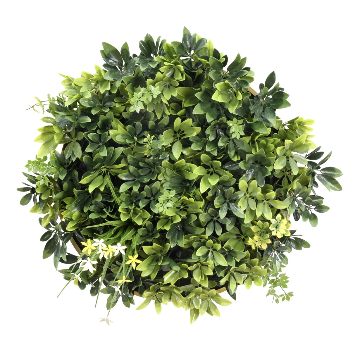 LEAFLUXE WALL 2 - Plantemåtte