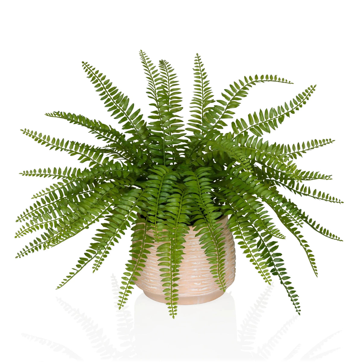 Grøn Kunstige plante Proliferum med bregneagtige blade i en lysebeige potte fra hjh OFFICE