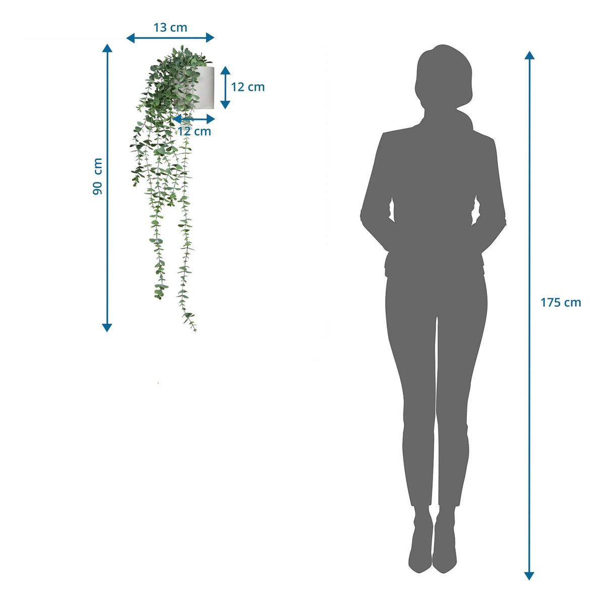 Måltegning af den Kunstige plante EUCALYPTUS CLIMB med en samlet højde på 90 cm fra hjh OFFICE