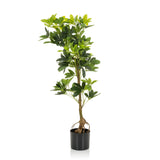 Grøn Kunstige plante SCHEFFLERA med forgrenede grene i en sort potte fra hjh OFFICE – 360-graders visning (forfra 0°)