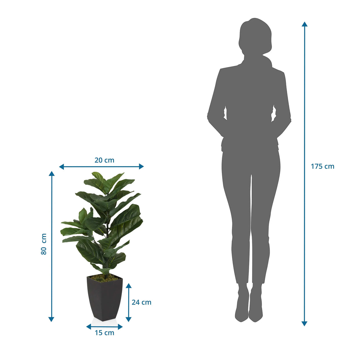 Måltegning af den Kunstige plante LYRATA med en højde på 80 cm fra hjh OFFICE