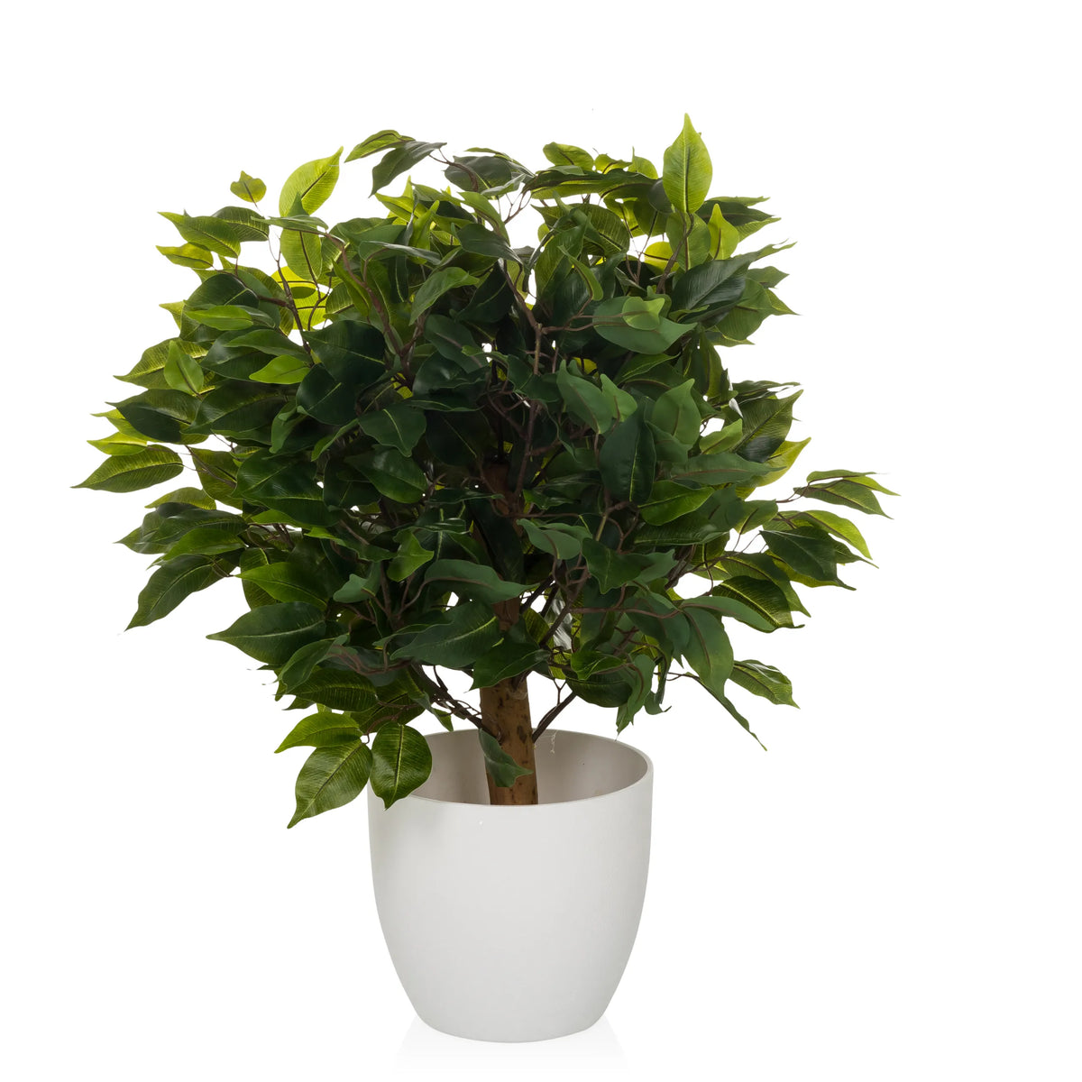 Grøn Kunstige plante FICUS II i en hvid potte fra hjh OFFICE – 360-graders visning (sideprofil 90°)