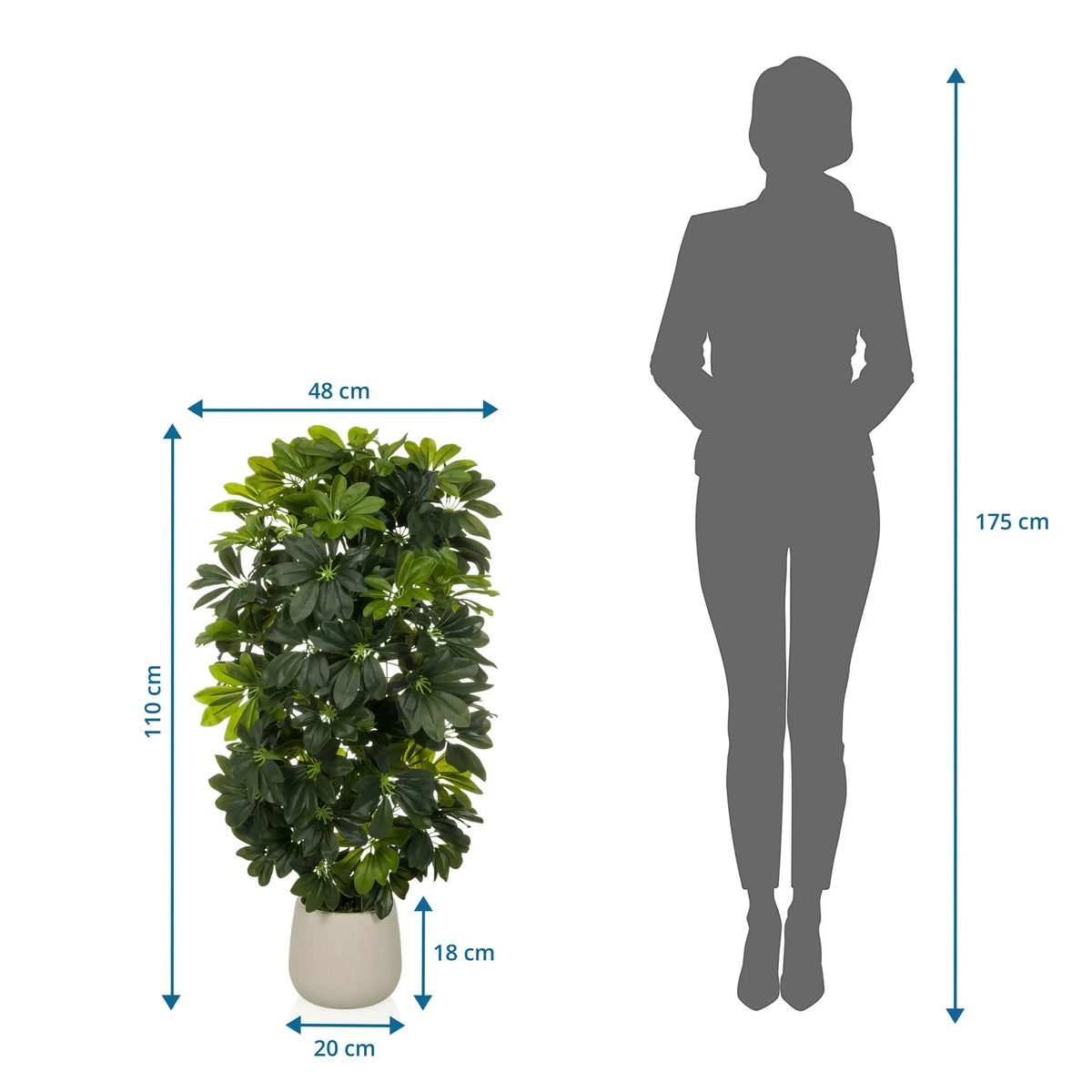 Måltegning af den Kunstige plante Schefflera 2 med en højde på 110 cm og bredde på 48 cm fra hjh OFFICE