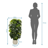Måltegning af den Kunstige plante Schefflera 2 med en højde på 110 cm og bredde på 48 cm fra hjh OFFICE