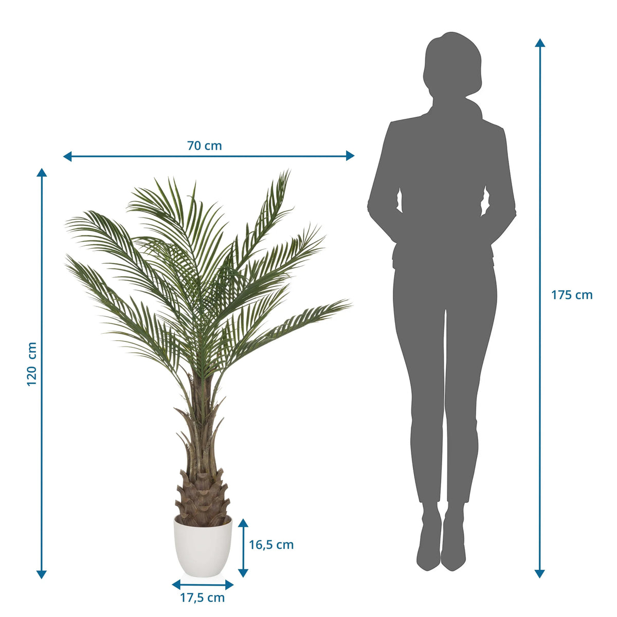 Måltegning af den Kunstige plante DRACAENA med en højde på 120 cm og en bredde på 70 cm fra hjh OFFICE