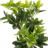 Grønne blade fra den kunstige plante SCHEFFLERA fra hjh OFFICE