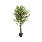 Grøn Kunstige plante FICUS med flettet stamme i en sort potte fra hjh OFFICE – 360-graders visning (forfra 0°)