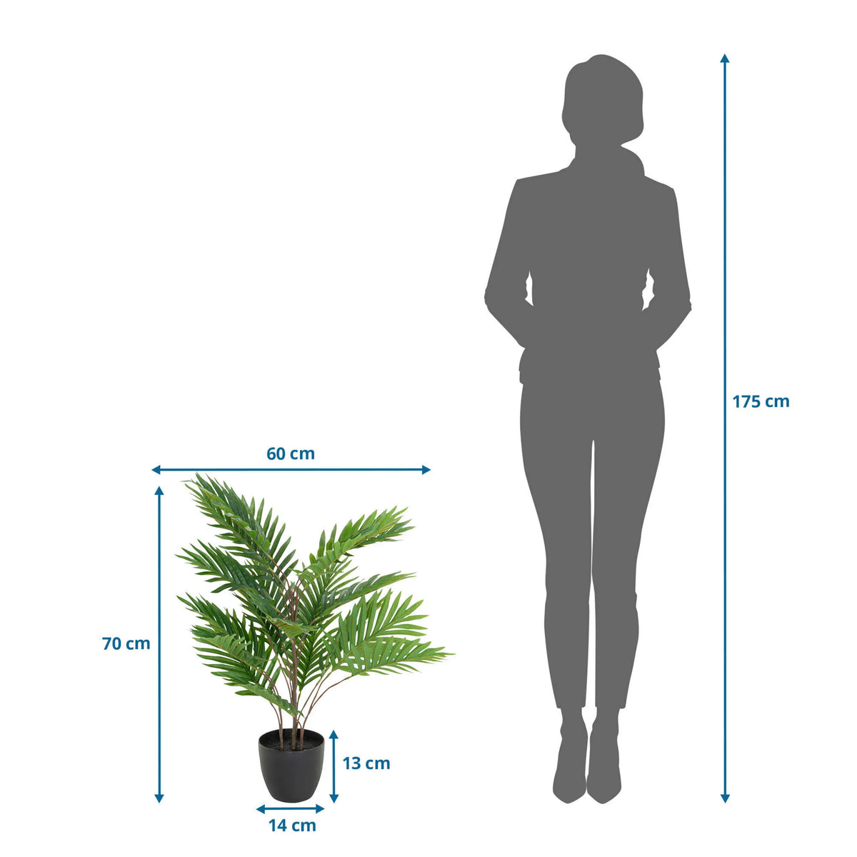 Måltegning af den Kunstige plante ARECA med en højde på 70 cm og bredde på 60 cm fra hjh OFFICE