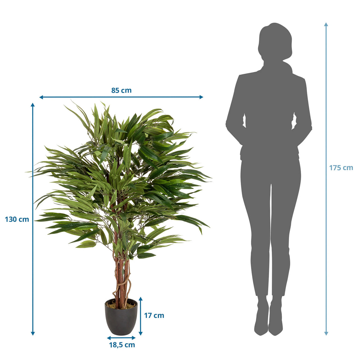 Måltegning af den Kunstige plante MANGO med en højde på 130 cm og bredde på 85 cm fra hjh OFFICE