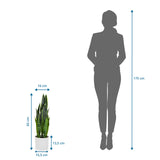 Målvisning af den Kunstige plante SANSEVIERIA med en højde på 65 cm ved siden af en personsilhuet fra hjh OFFICE
