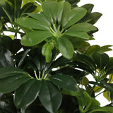 Grønne blade fra den kunstige plante Schefflera 2 fra hjh OFFICE