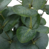 Grønne blade på den kunstige plante Eucalyptus fra hjh OFFICE