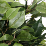 Grønne blade fra den kunstige plante FICUS II fra hjh OFFICE