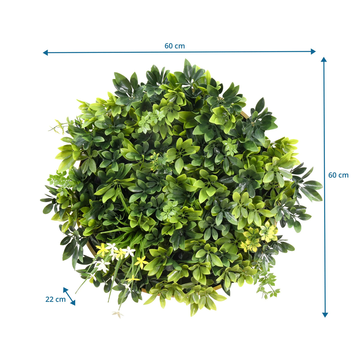 Måltegning af Plantemåtte LEAFLUXE WALL 2 med 60 × 60 cm og en dybde på 22 cm fra hjh LIVING