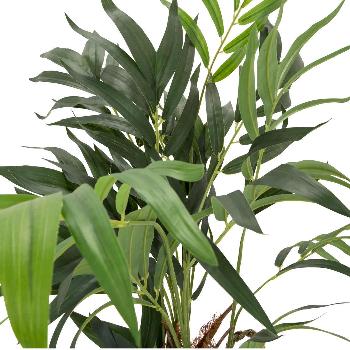 Grønne blade fra den kunstige plante CHAMAEDOREA fra hjh OFFICE