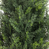 Grønne nålegrene fra den kunstige plante CEDRUS fra hjh OFFICE